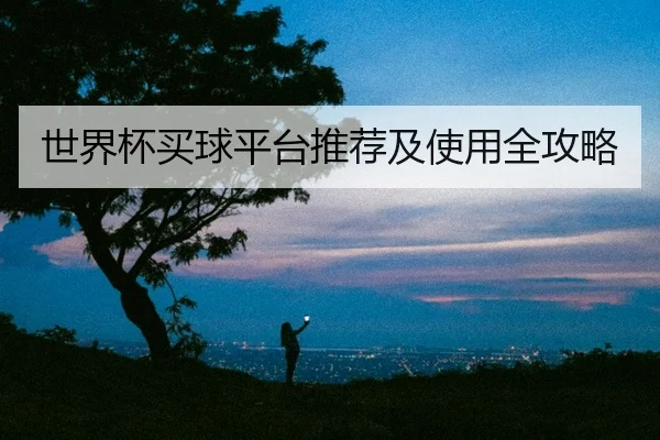世界杯买球平台推荐及使用全攻略
