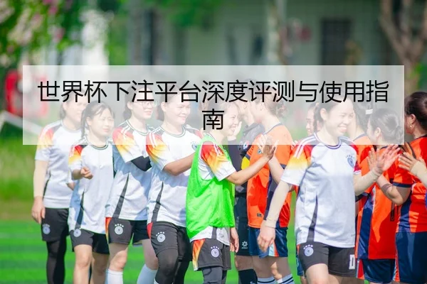 世界杯下注平台深度评测与使用指南