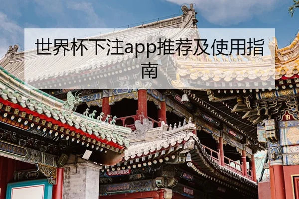 世界杯下注app推荐及使用指南